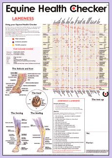 Lameness chart image